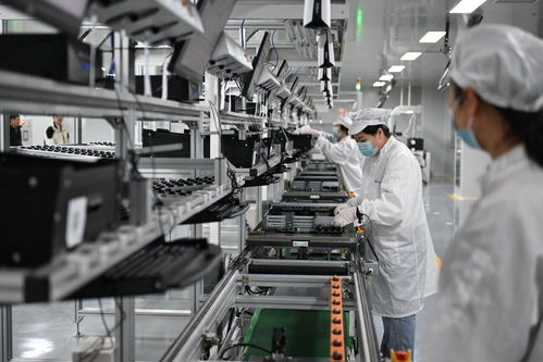 雄安新区 未来之城展新姿，绿化服务铸就生态典范