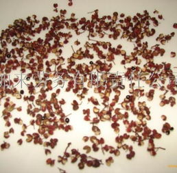 干花椒劳务服务 农业产业链中的专业劳动力支持