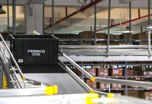 踔厉奋发新征程 投教服务再出发——走进上市公司飞力达成功举行劳务服务投教活动