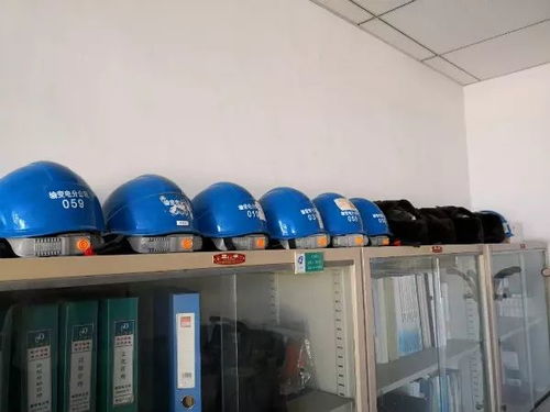 第十期暖心行动 团组织绿化服务点亮美好社区