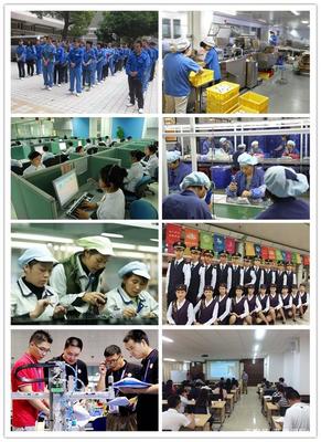 蓝桥国际——专业劳务服务的背景与来历